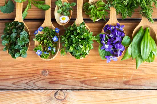 herbal medicine agi wittich