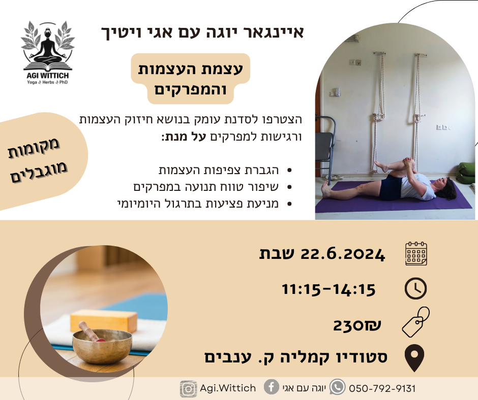 עוצמת העצמות והמפרקים סדנת עומק איינגאר יוגה אגי ויטיך