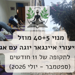 מנוי מוזל למתמידים בתרגול היוגה