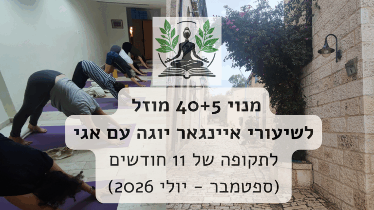 מנוי מוזל למתמידים בתרגול היוגה