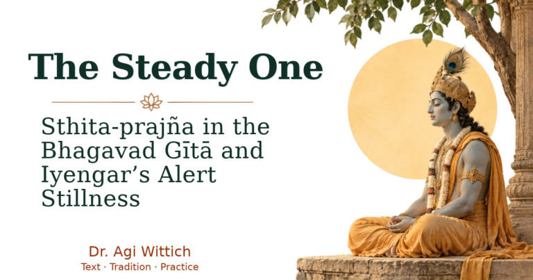 the steady one bhg 2